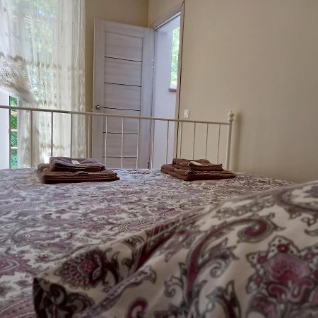 Klaipeda City Center Apartment Buitenkant foto