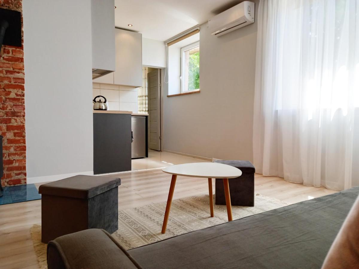 Klaipeda City Center Apartment Buitenkant foto